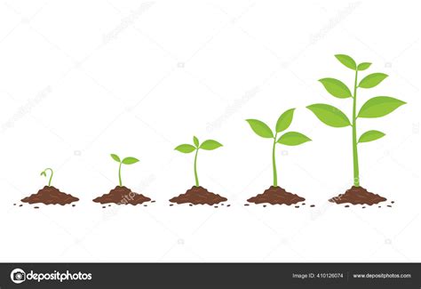 Illustratie van een groeiende plant of boom die het jaarthema symboliseert