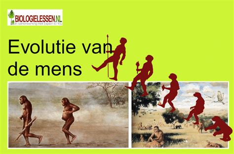 Evolutie van kerkdiensten en kerkelijke deelname