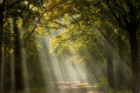 Een abstracte afbeelding die de alomtegenwoordigheid van God symboliseert, met lichtstralen die vanuit het centrum in alle richtingen uitstralen.
