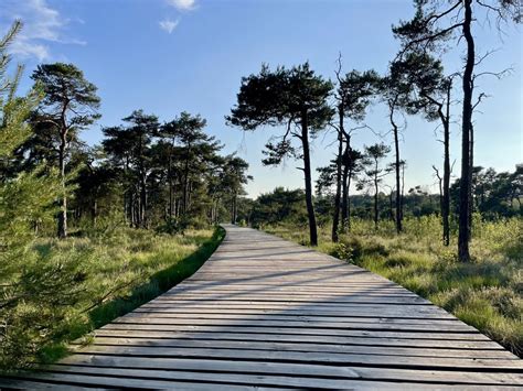 Een foto van een bewegwijzerd wandelpad door een bosrijke omgeving.