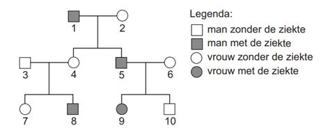 Stamboom van de familie Lydius met focus op Martinus en Balthasar.