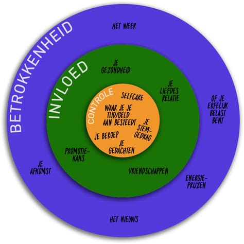 schema dat de invloed van verschillende kerkverbanden in samenwerkingskerken weergeeft