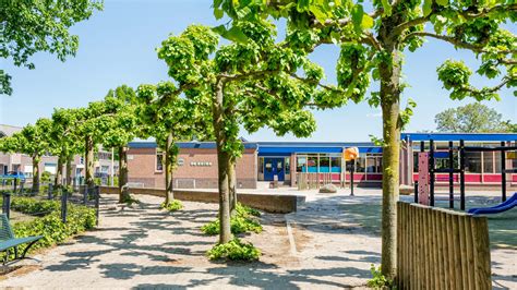 Overzicht van de verschillende vieringen en festiviteiten die jaarlijks plaatsvinden op Basisschool Sjaloom.