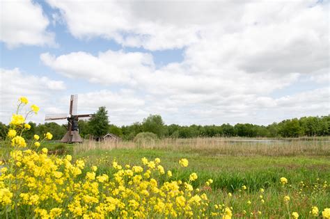 Landschap van Obergum met wierden en het Winsumerdiep