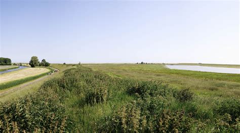 Landschap van Zeeuws-Vlaanderen met polders en dijken
