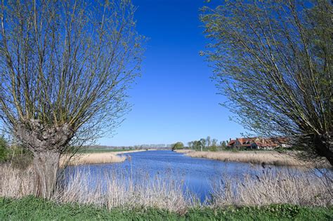 Kreek in het Zeeuws-Vlaamse polderlandschap