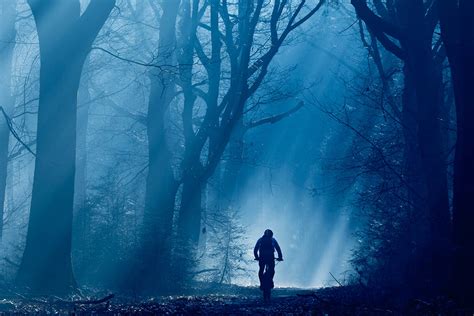 infographic die de evolutionaire banden tussen mens en natuur weergeeft, met nadruk op onderlinge afhankelijkheid