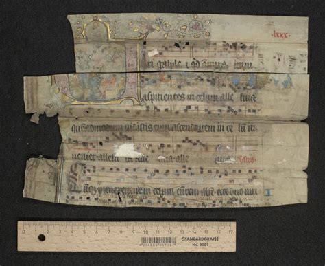 Collage van verschillende fragmenten uit historische muziekhandschriften.