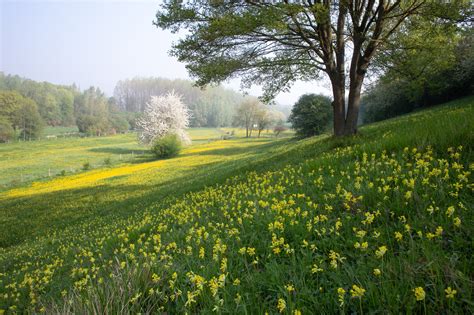 Fietsers op de kerststallenroute door het landschap van Moergestel.