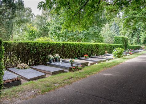 Een overzichtsfoto van de eenvoudige graven op de begraafplaats.