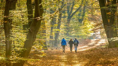 Foto van mensen die wandelen in een natuurlijke omgeving