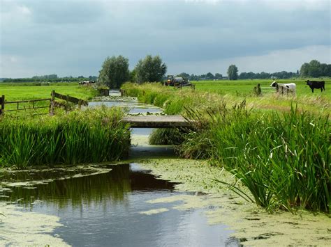 Landschapsfoto van Bleiswijk met polders en water.