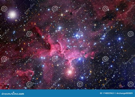 Een assortiment van Hernhutters sterren in verschillende maten en kleuren, tentoongesteld in een winkel.