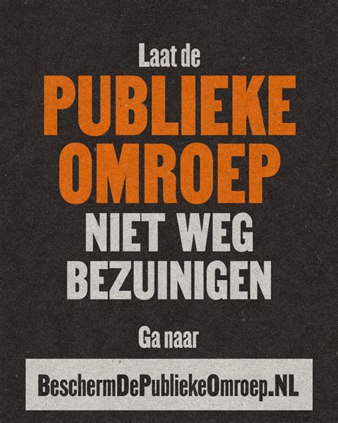 Diagram dat de inkomstenbronnen van de publieke omroep toont, met een onderscheid tussen overheidsfinanciering, reclame en sponsoring.