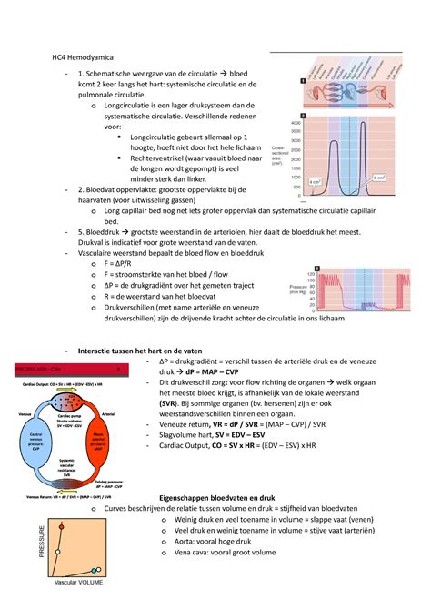 Schematische weergave van de meest voorkomende doodsoorzaken bij doodgeboorte