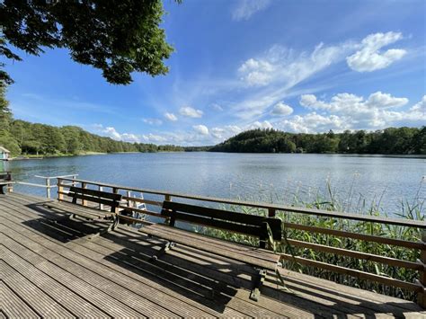 Uitzicht vanaf het terras van het Rooseveltpaviljoen over de vijver
