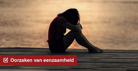 Infographic die de verschillende oorzaken van eenzaamheid visualiseert