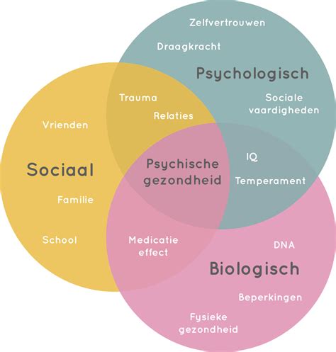 Diagram dat de relatie tussen psychische en geestelijke eenzaamheid toont