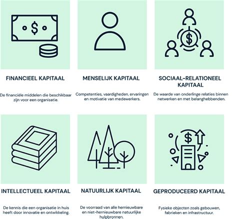Infographic die de zes vormen van kapitaal weergeeft: financieel, geproduceerd, menselijk, sociaal-netwerk, intellectueel en natuurlijk kapitaal.