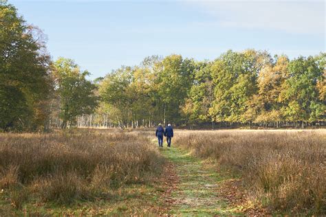 historische kaart van Westerwolde met Sellingen gemarkeerd