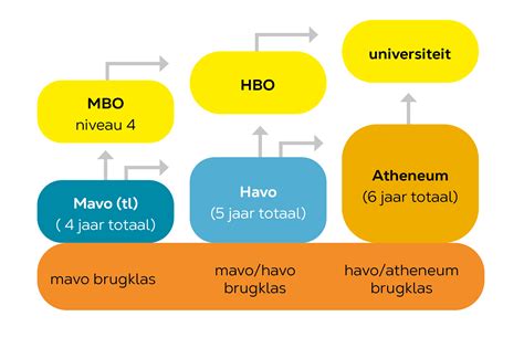 Infographic met slagingspercentages per niveau (mavo, havo, vwo) van de afgelopen jaren.