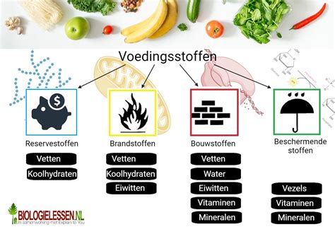Illustratie van Bijbelse spijswetten, met voorbeelden van toegestaan en verboden voedsel.