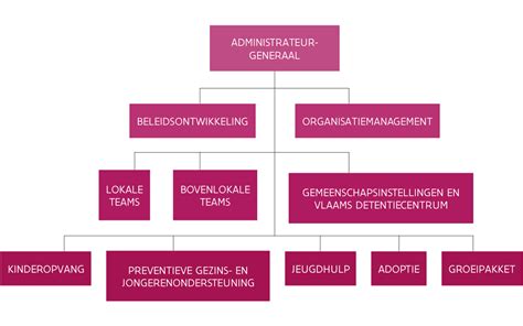 Infographic met de structuur van de Stichting Drugspastoraat Amsterdam