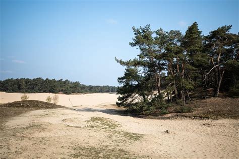 een luchtfoto van Het Wekeromse Zand met de open zandvlakte en omringend bos