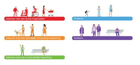 Infographic die de diensten en doelgroepen van RefSVO weergeeft