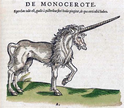Houtsnede van een eenhoorn uit Conrad Gesner's Historia animalium (1551).