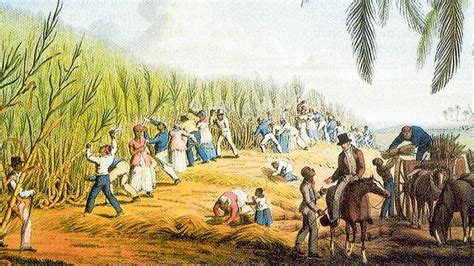 historische afbeelding van tot slaaf gemaakte Afrikanen in Suriname