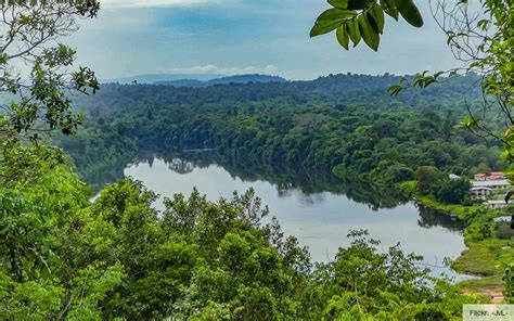 illustratie van Marrons in het Surinaamse oerwoud