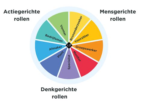 infographic over de verschillende rollen van Jannet de Jong