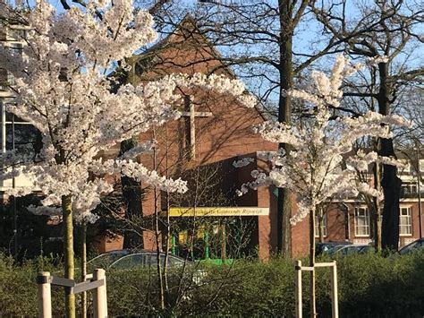 Het logo van de Volle Evangelie Gemeente Rijswijk met boom, kruis en slogan