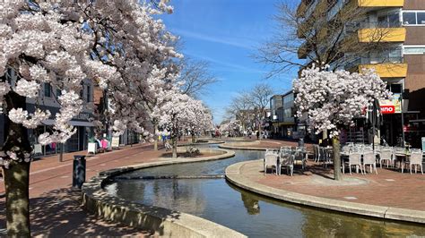 Kaart met locatie van de Evangelische Gemeente Hoogeveen aan de Brinkstraat