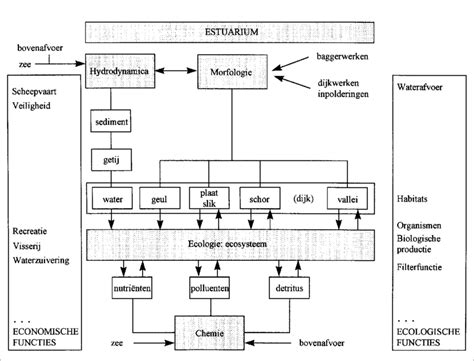 Schematische weergave van de verschillende bouwfasen van de Sint-Gudulakerk