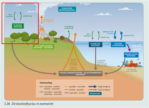 Schema met de cyclische aard van het leven, zoals beschreven in Prediker.