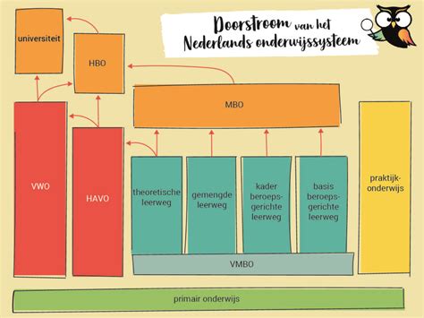 Infographic die de verschillende onderwijsniveaus en leerjaren op het HLZ toont