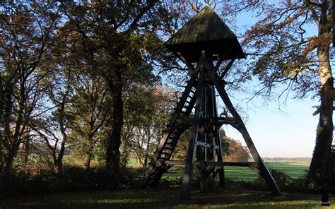 De authentieke losstaande eikenhouten klokkenstoel van Wapserveen