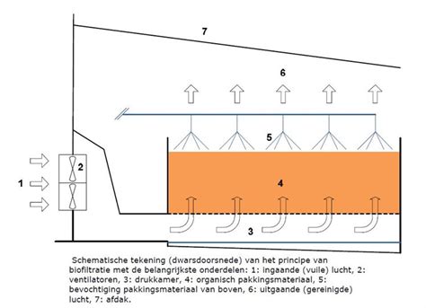 Schematische weergave van de 1,5 meter afstand die gehouden moet worden in een kerkgebouw