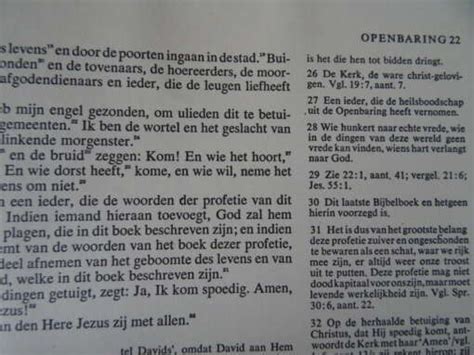 Voorbeeld van een geïllustreerde pagina uit een vroege gedrukte bijbel met kanttekeningen