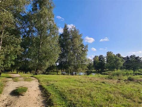 Uitzicht op de Boswachterij Hooghalen met naaldbos en heidevelden