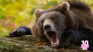 Illustratie van een bakenlicht op een rots bij zonsopgang, symboliserend hoop en leiding.