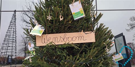 Foto van de wensboom met ingevulde wensen