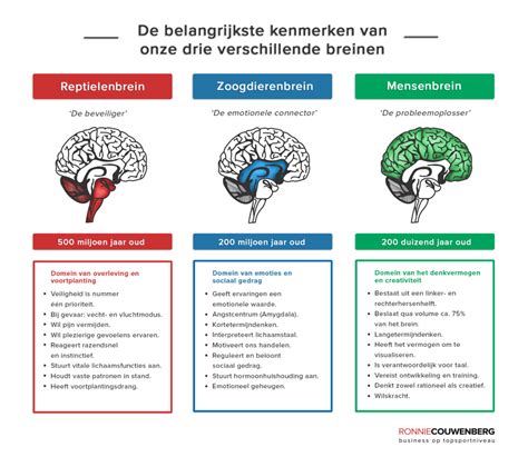 Infographic met de belangrijkste kenmerken van de zangbundel Gezangen voor Liturgie