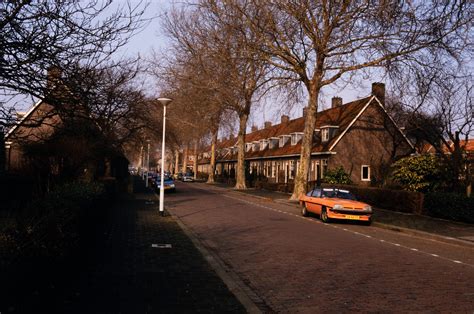 infographic met de cijfers van het Vreewijk Lyceum en de impact van de fraude