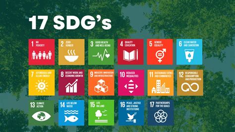 Infographic die de 17 Sustainable Development Goals van de VN toont.