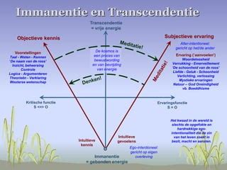 Infographic die de concepten transcendentie, immanentie en panentheïsme visueel uitlegt