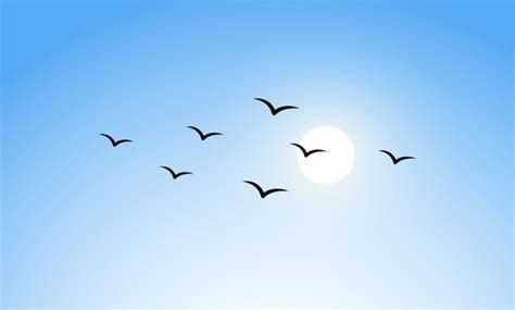 Illustratie van vogels in de lucht en lelies in het veld