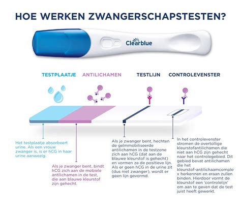 Illustratie van een zwangerschapstest met een positief resultaat en een doktersrekening met een diagnose.